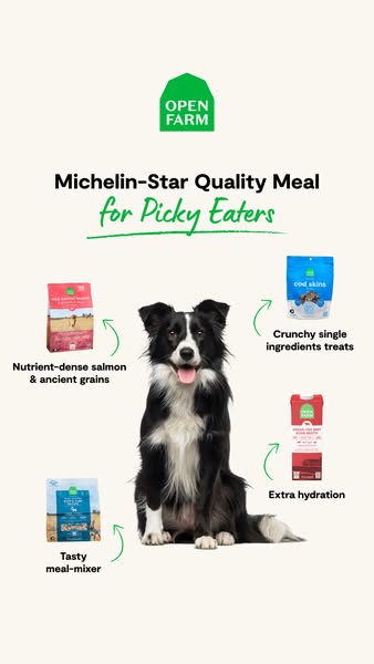 This ad promotes Open Farm dog food products, highlighting their high-quality ingredients and suitability for picky eate