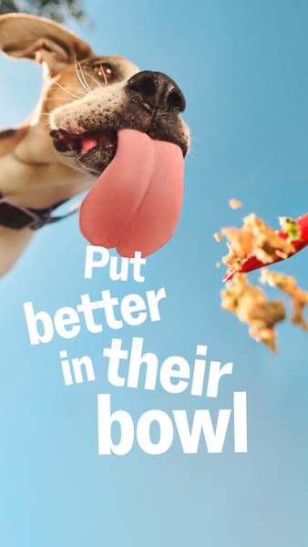 This image ad shows a dog with its tongue out while someone is filling up their food bowl. The ad encourages the viewer 