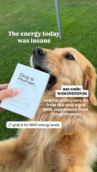 Dog is Human ad