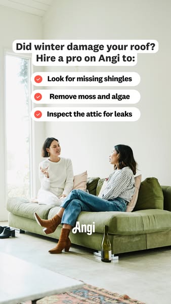 The ad promotes Angi as a place to hire professionals to fix your home following winter damage. It includes two women si