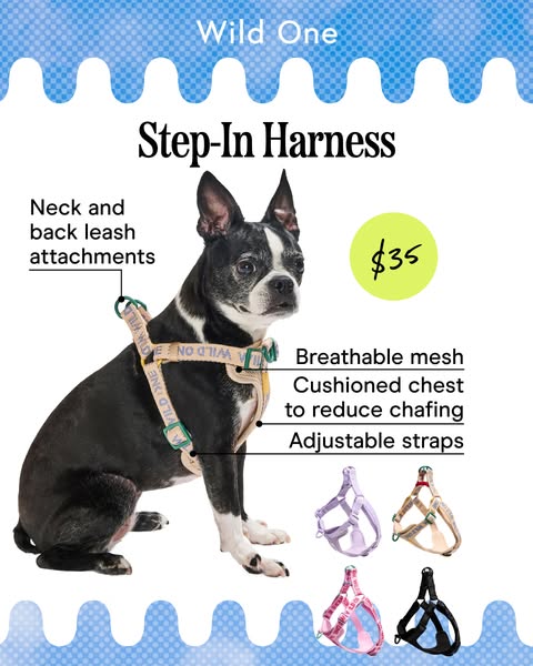This ad showcases the Wild One Step-In Harness for dogs, highlighting its features such as neck and back leash attachmen