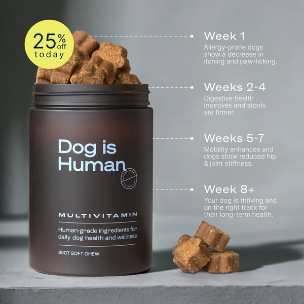 This ad is for Dog is Human multivitamin soft chews for dogs. It shows the benefits that your dog will receive over time
