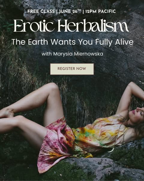 School of the Sacred Wild : Regenerative Healing for Earth & People ad