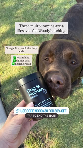 The Lab Woody ad