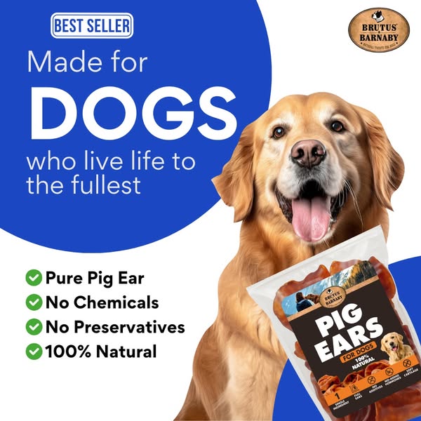This ad promotes Brutus & Barnaby's pig ear dog treats. The ad features a happy golden retriever and emphasizes 