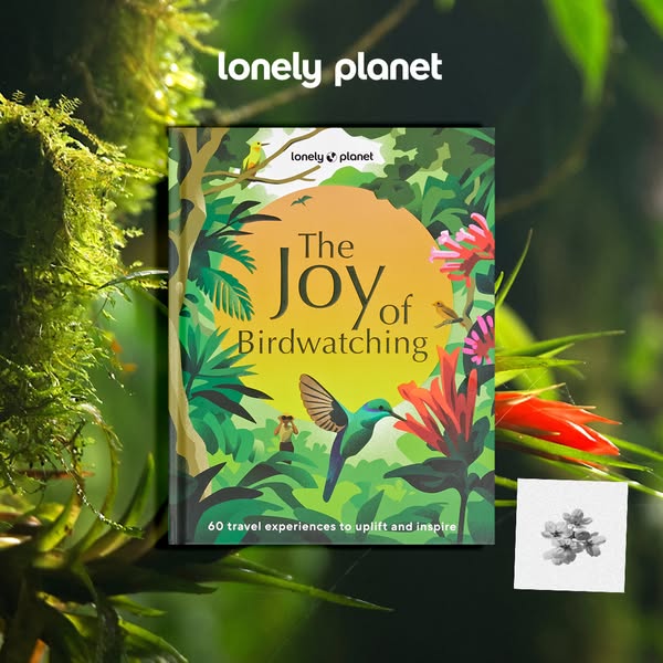 This ad promotes Lonely Planet's "The Joy of Birdwatching" book, highlighting its ability to inspire trave