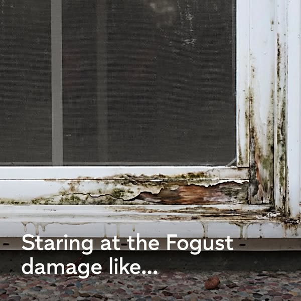 The ad shows a close-up of a window frame with visible rot and mold damage. The damage is on the bottom left side of the