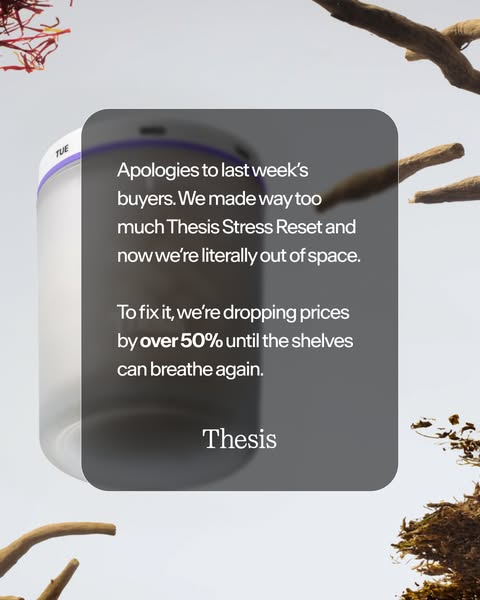 A creative image ad for Thesis, a company that sells products to help people focus. The ad expresses that Thesis made to