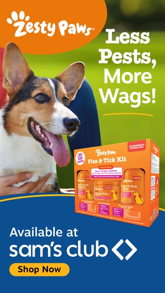 The image ad promotes Zesty Paws flea and tick kit, highlighting the benefits of using the product for dogs and providin