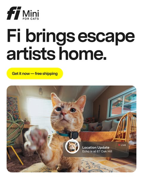 This image ad for Fi Mini pet trackers features a playful message with the headline "Fi brings escape artists home.