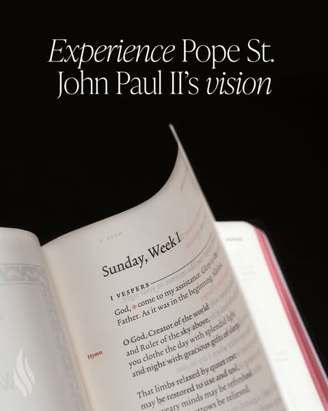 Bishop Robert Barron ad
