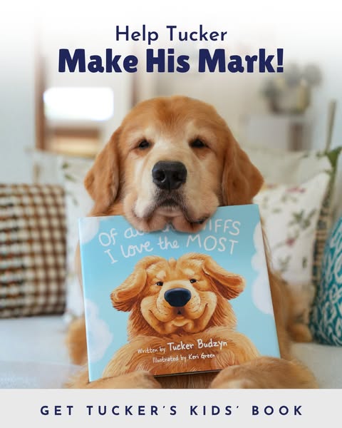 Tucker Budzyn ad