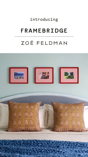 This ad introduces Framebridge and Zoe Feldman.