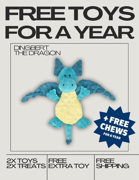 This image ad promotes a subscription to a service offering toys and treats for pets. The ad features a promotional offe