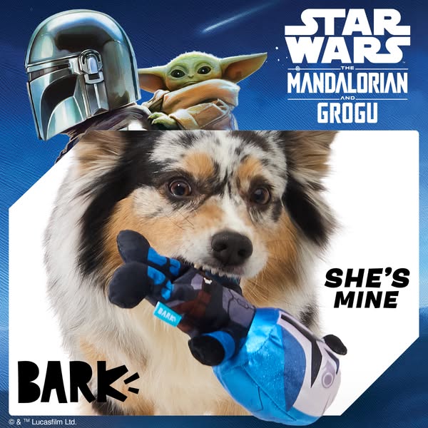 This ad features a dog chewing on a Star Wars themed toy from Bark.
