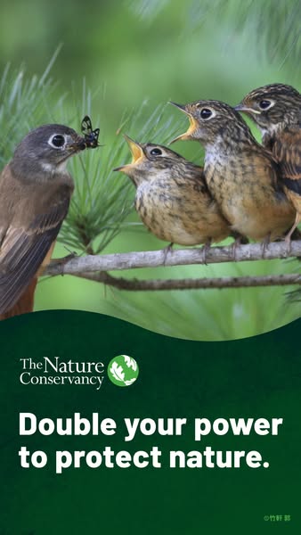 This ad by The Nature Conservancy promotes the organization and encourages viewers to contribute and double their impact
