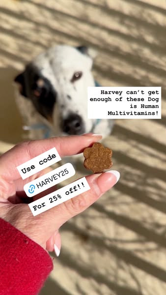 An ad promoting Dog is Human Multivitamins using a 25% discount code. The ad features a person holding one multivitamin 