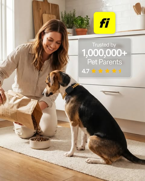 This image ad promotes the Fi smart dog collar. It features a woman pouring kibble into a dog bowl next to a dog wearing