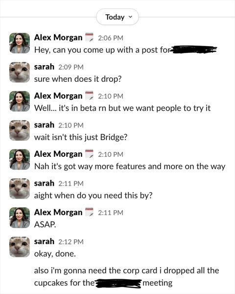 This ad features a simulated instant message conversation between two coworkers discussing a project for a new beta soft