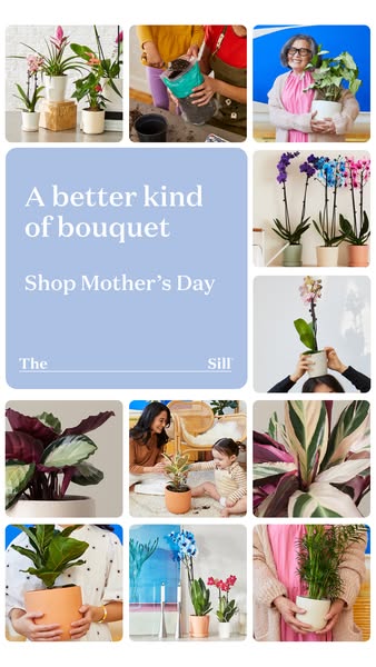 This ad for The Sill uses a collage of product images to promote plant bouquets for Mother's Day.