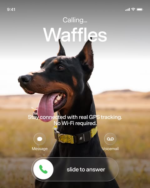 This ad features a dog on a Fi GPS collar. The image is formatted to look like an iPhone's incoming call screen with