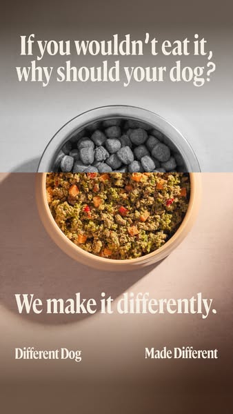 Different Dog ad