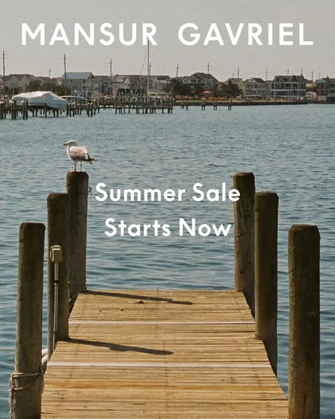 This image ad for Mansur Gavriel promotes their Summer Sale. The shot is on a dock near the sea, with a seagull perched 
