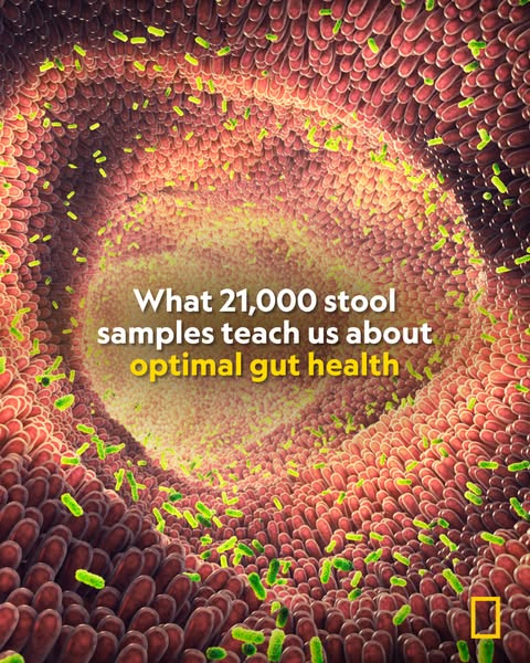 National Geographic ad