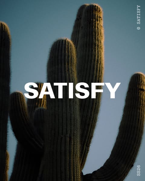 This image ad features a close-up shot of saguaro cacti against a blue sky, overlaid with the brand name "SATISFY&q