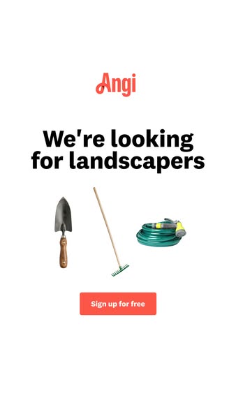 Angi ad