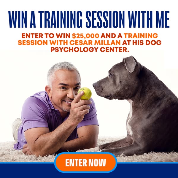 Cesar Millan ad