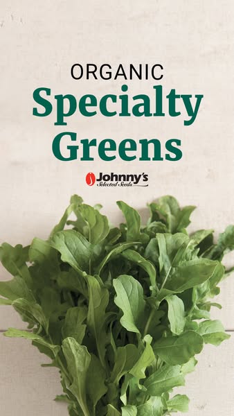This ad features a close-up shot of fresh, organic specialty greens from Johnny's Selected Seeds, emphasizing the br