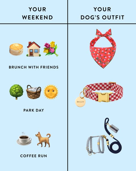 This image ad is comparing someone's weekend plans with their dog's weekend attire.