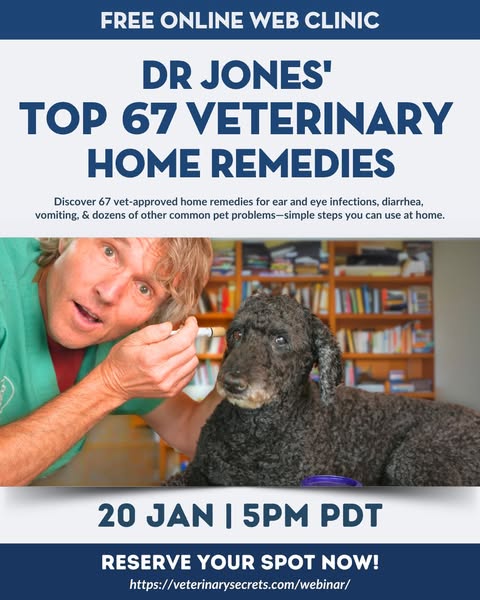Andrew Jones, DVM ad