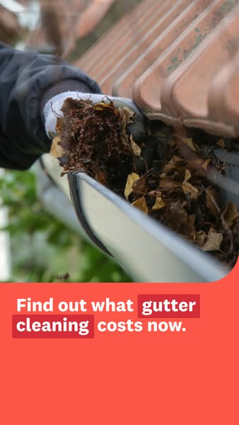 An image ad for gutter cleaning services presents a close-up view of a leaf-clogged gutter and asks viewers to find out