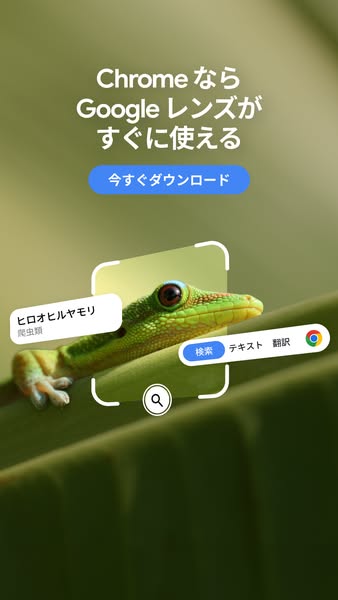 This ad promotes the Google Lens feature within the Chrome browser, highlighting its ability to identify and provide inf