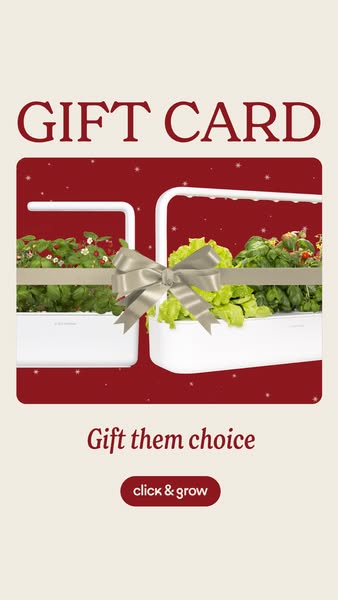 This ad promotes Click & Grow gift cards, suggesting that they make a great gift for those who like to garden. The a