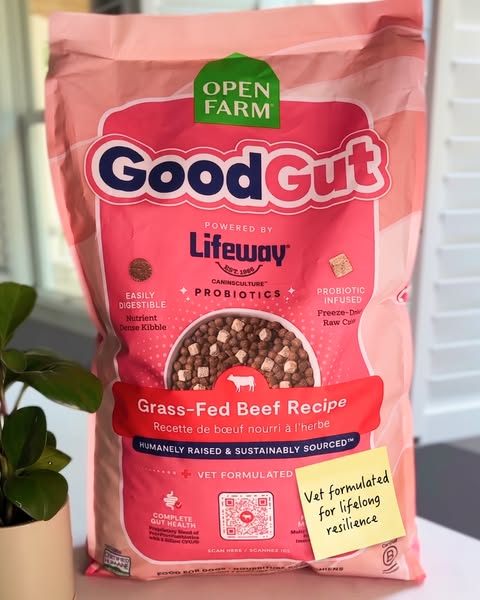 This image ad showcases Open Farm dog food, specifically the 'Good Gut Grass-Fed Beef Recipe' variety. The ad hi