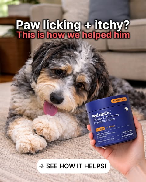 This ad promotes PetLab Co.'s Allergy & Immune Probiotic Chew as a solution for dogs experiencing paw licking an