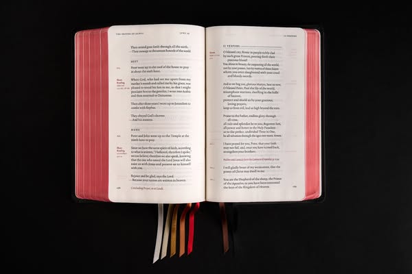 Bishop Robert Barron ad