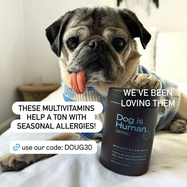 Doug The Pug ad
