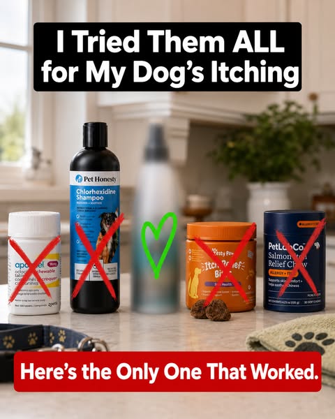 PupLabs ad