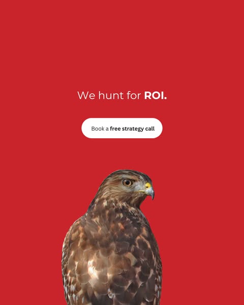 This ad uses the image of a hawk against a red background to convey the brand's promise to 'hunt for ROI'. I