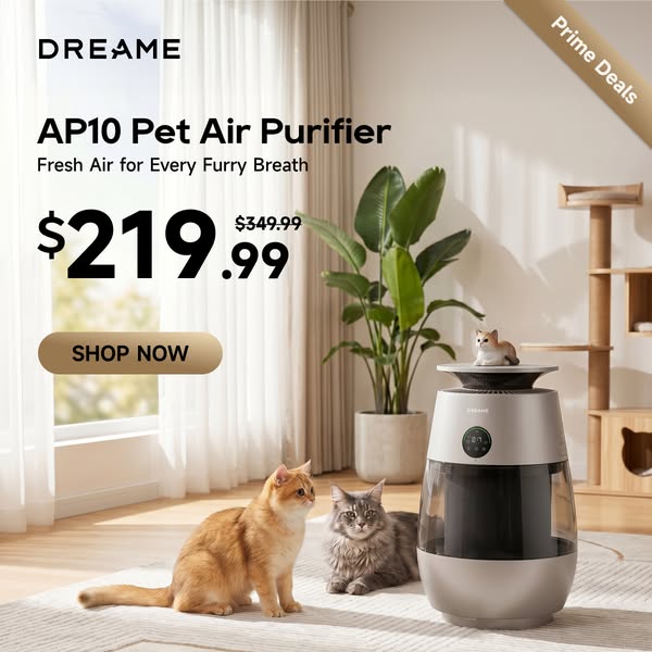 DreameUS ad