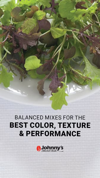 This ad showcases Johnny's Selected Seeds' balanced mixes, highlighting their color, texture, and performance.