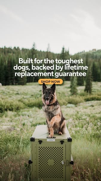 Impact Dog Crates ad
