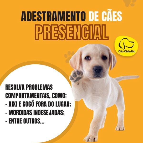 This ad promotes in-person dog training to solve behavioral problems such as inappropriate urination and defecation, and