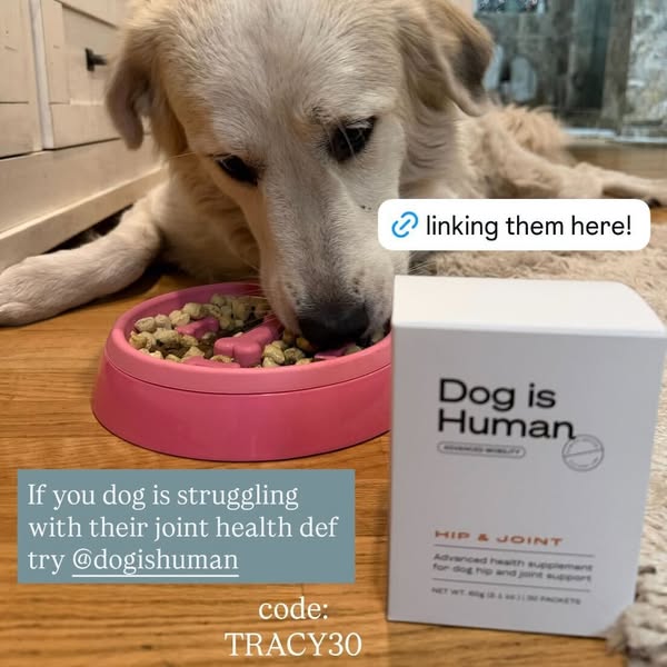 Dog is Human ad