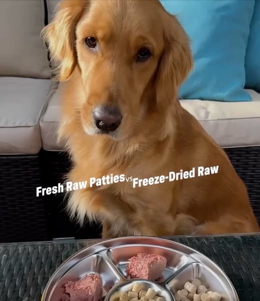 It's Atlas the Golden ad