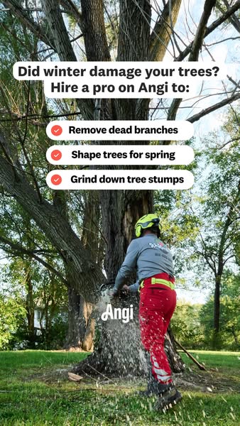 This ad for Angi features a tree care professional grinding down a tree stump. It highlights services available to maint